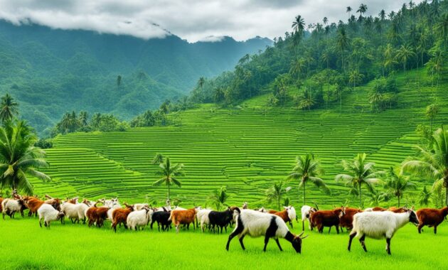 potensi pasar usaha beternak kambing di Indonesia